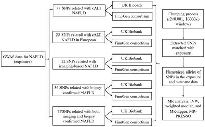 A two-sample mendelian randomization analysis excludes causal relationships between non-alcoholic fatty liver disease and kidney stones
